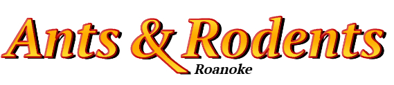 Roanoke Ant Exterminator & Rodent Control Company Logo